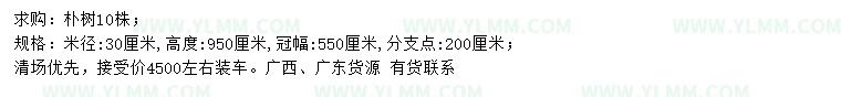 求购米径30公分朴树