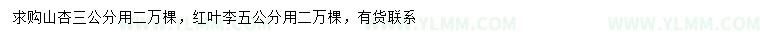 求购3公分山杏、5公分红叶李