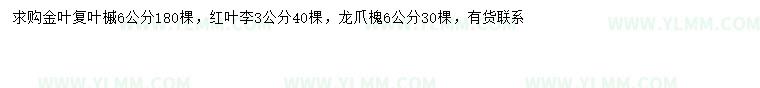 求购金叶复叶槭、红叶李、龙爪槐