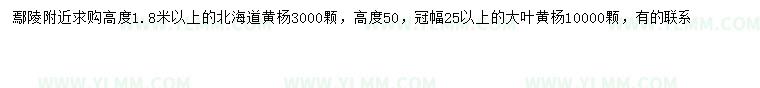 求购高1.8米以上北海道黄杨、冠幅25公分以上大叶黄杨