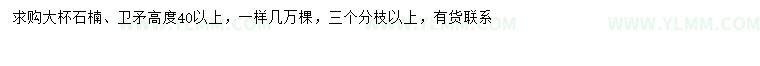 求购高40公分以上石楠、卫矛