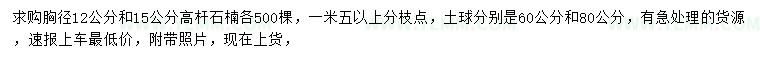 求购胸径12、15公分高杆石楠