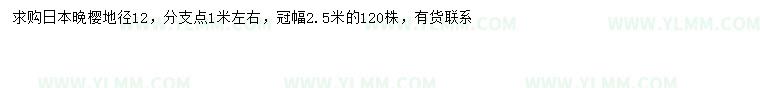 求购地径12公分日本晚樱