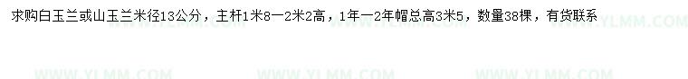 求购米径13公分白玉兰、山玉兰