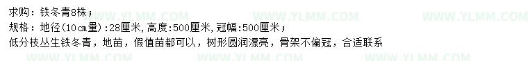 求购10量28公分铁冬青