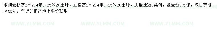求购高2-2.4米云杉、油松