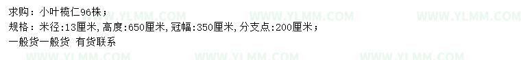 求购米径13公分小叶榄仁