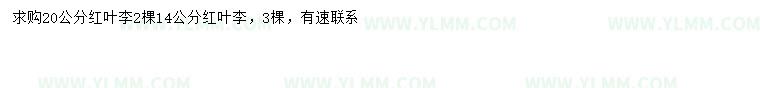 求购14、20公分红叶李