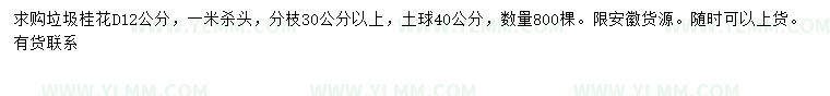 求购地径12公分桂花