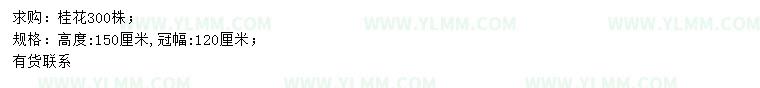 求购高150公分桂花