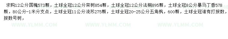 求购国槐、栾树、法桐等