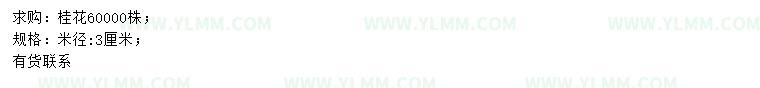 求购米径3公分桂花
