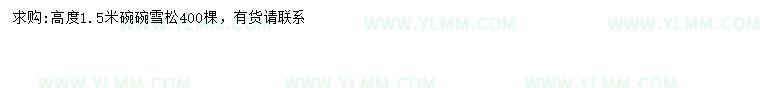 求购高1.5米雪松
