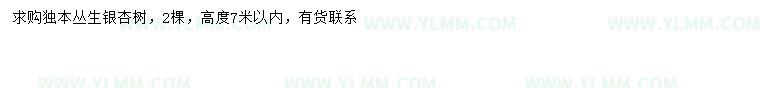 求购高7米丛生银杏