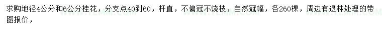 求购地径4、6公分桂花