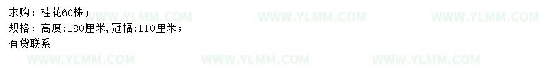 求购高180公分桂花