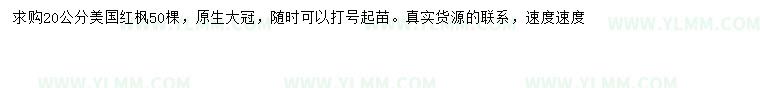 求购20公分美国红枫