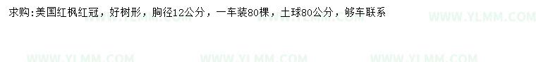 求购胸径12公分美国红枫红冠