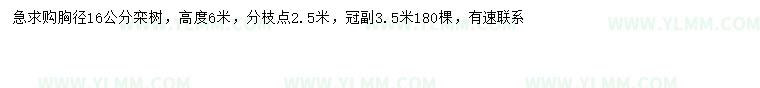 求购胸径16公分栾树