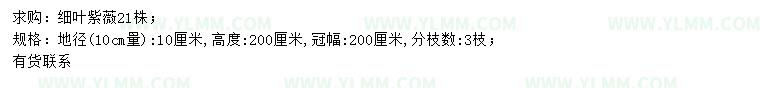 求购10量10公分细叶紫薇