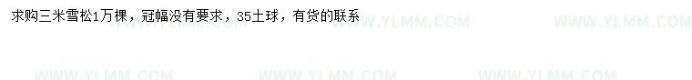 求购3米雪松