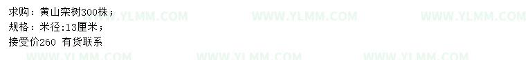 求购米径13公分黄山栾树