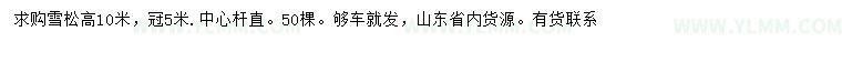 求购高10米雪松