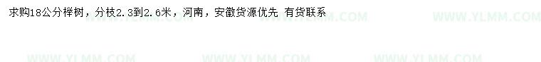 求购18公分榉树