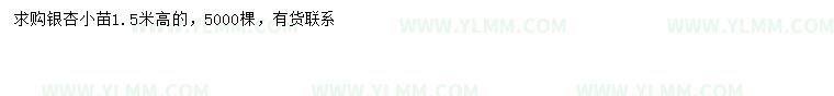 求购高1.5米银杏小苗