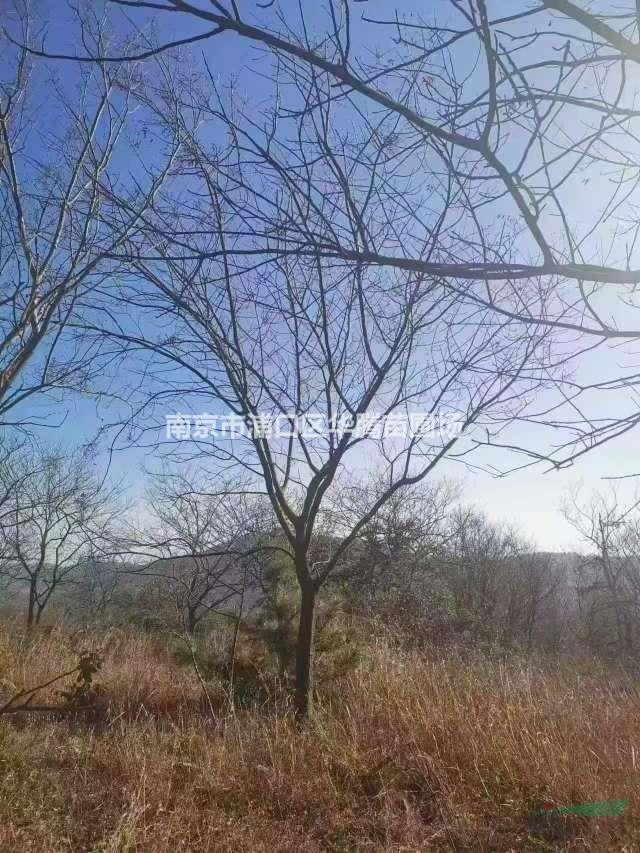 SBľ15SBľ16SBľ18SBľb܇r-˹Pֱ..