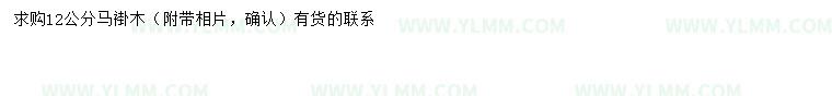 求购12公分马褂木