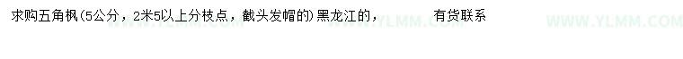 求购5公分五角枫