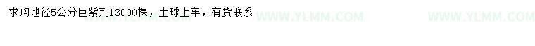 求购地径5公分巨紫荆