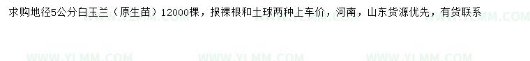 求购地径5公分白玉兰