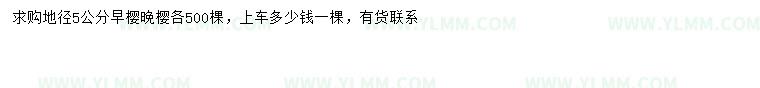 求購地徑5公分早櫻、晚櫻