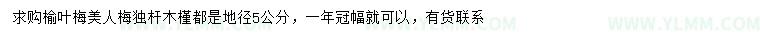 求購榆葉梅、美人梅、木槿