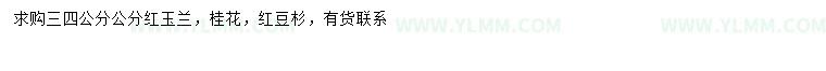 ُtm𻨡tɼ