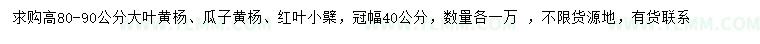 求购大叶黄杨、瓜子黄杨、红叶小檗
