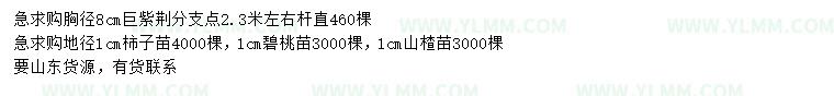 求購巨紫荊、柿子樹小苗、碧桃小苗等