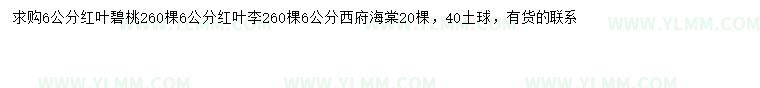 求購红叶碧桃、紅葉李、西府海棠