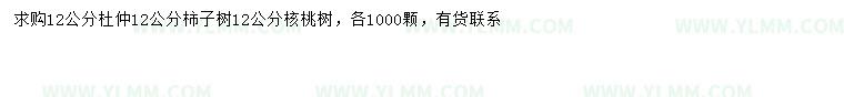 求購杜仲、柿子樹、核桃樹