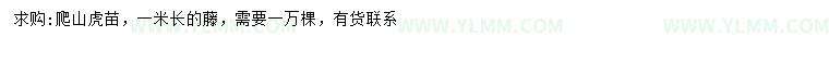 求購長1米爬山虎