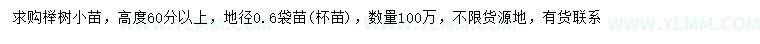 求购高60公分以上榉树小苗