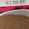 实惠适用红/绿地肤种子代办托运