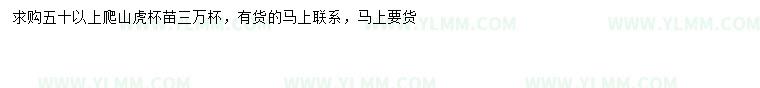 求購50公分以上爬山虎