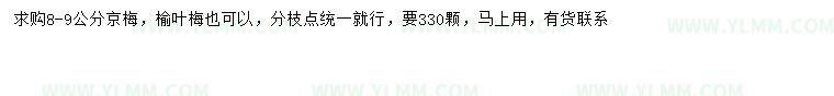 求購8-9公分京梅、榆葉梅