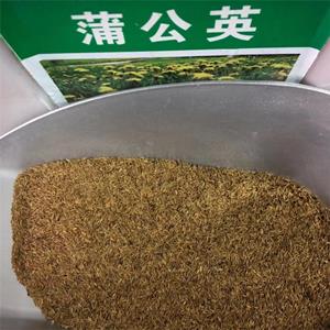 大型养殖蒲公英益母草975紫花苜蓿和地丁