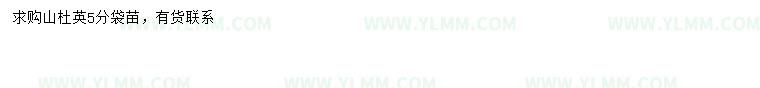 求购5公分山杜英