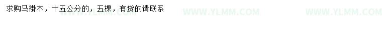求购15公分马褂木