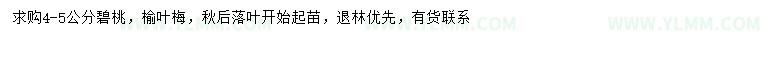 求購4-5公分碧桃、榆葉梅